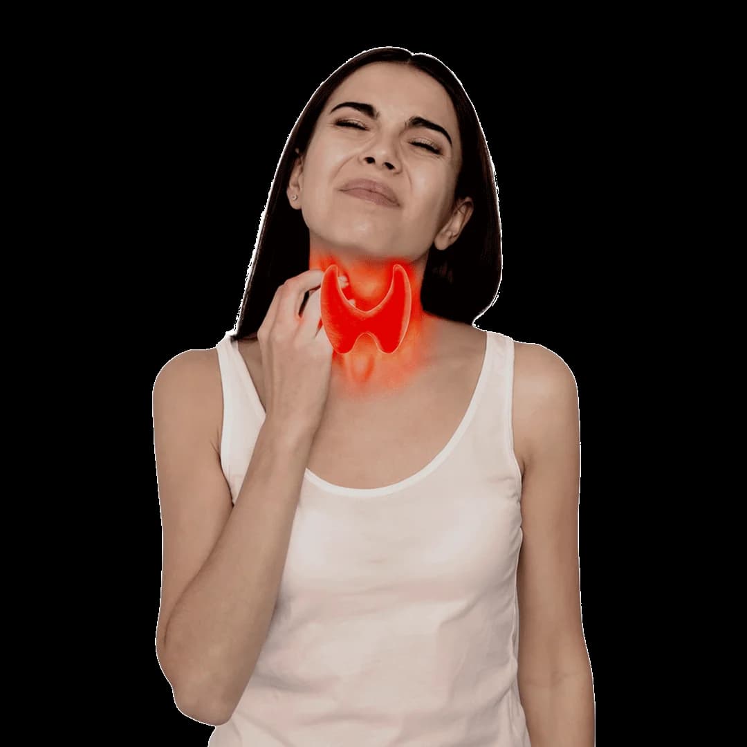 Thyroid Profile