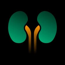 URINE PROTEIN CREATININE RATIO