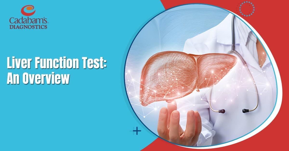 Liver Function Test: An Overview