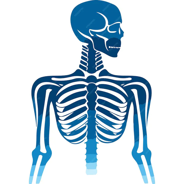 Risks & Limitations of the X-Ray Test