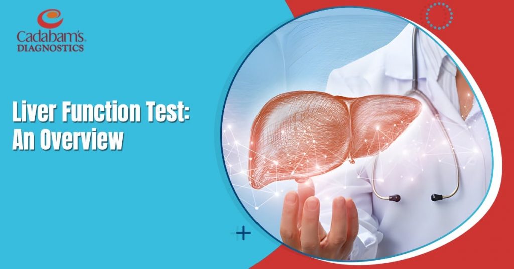 Liver Function Test An Overview